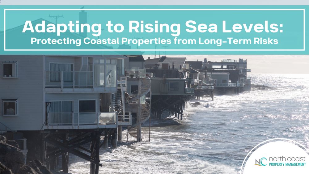 Adapting to Rising Sea Levels: Protecting Coastal Properties from Long-Term Risks